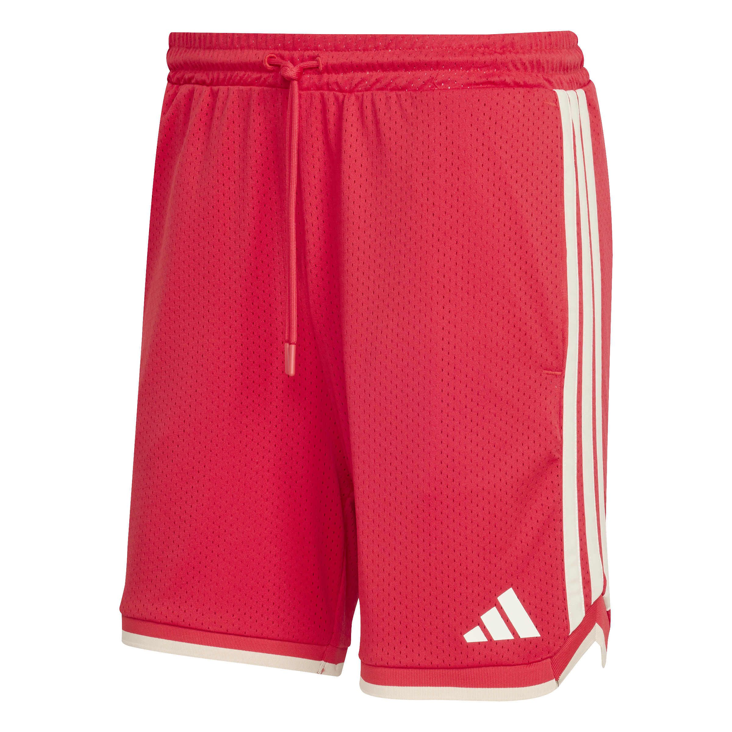 Funktionsshorts mit Mesh