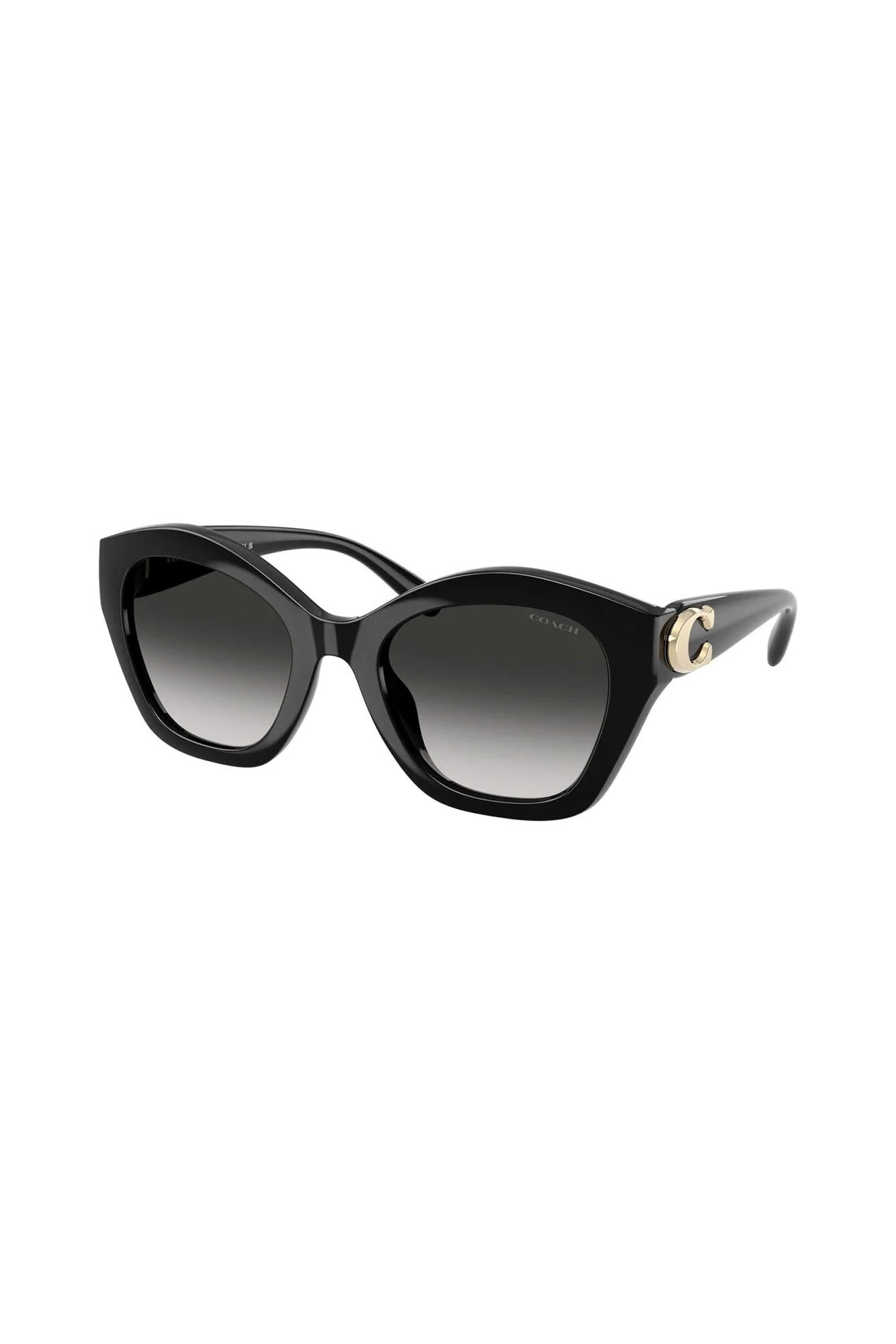 Sonnenbrille HC8421U 50023C