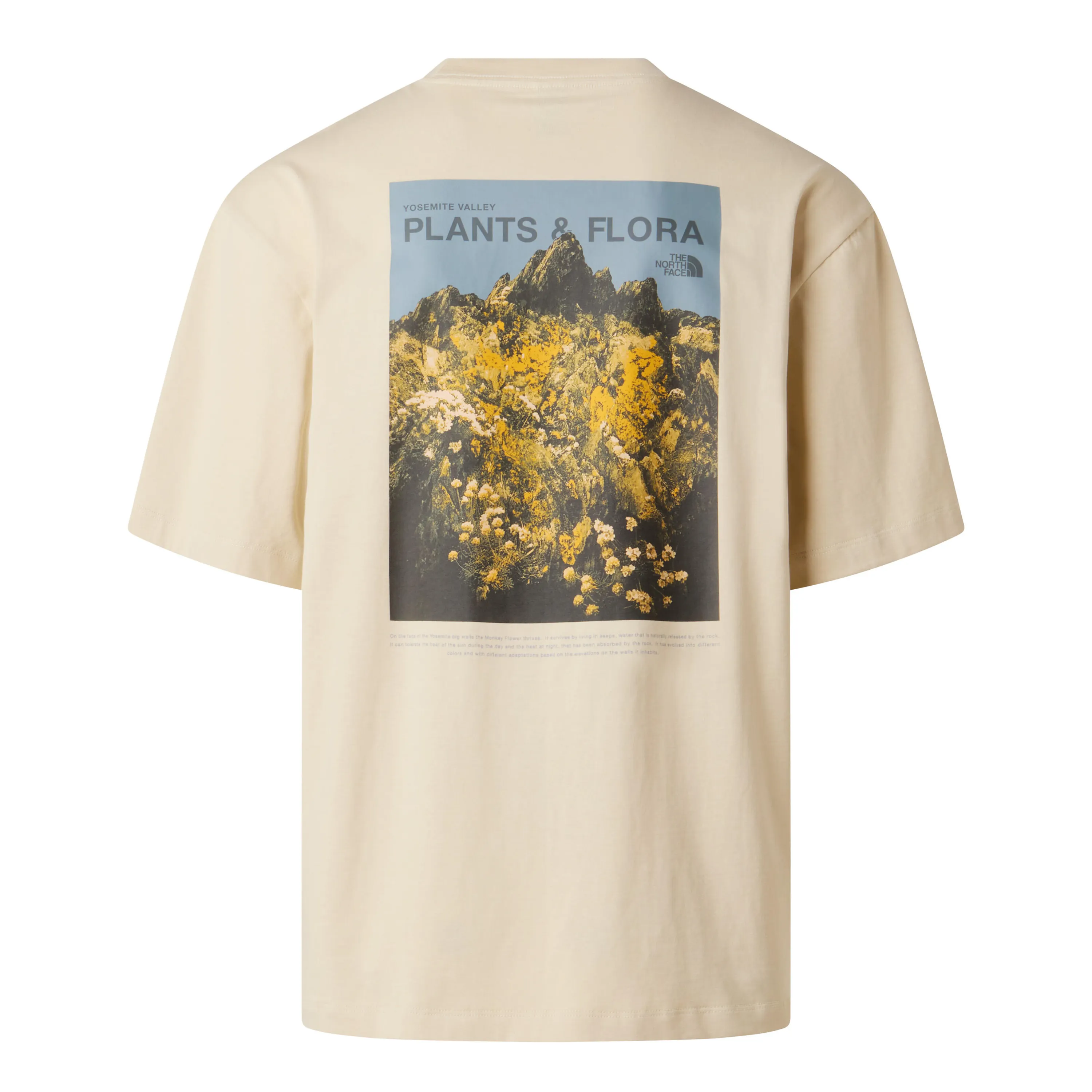 T-Shirt aus Baumwolle - Image 2