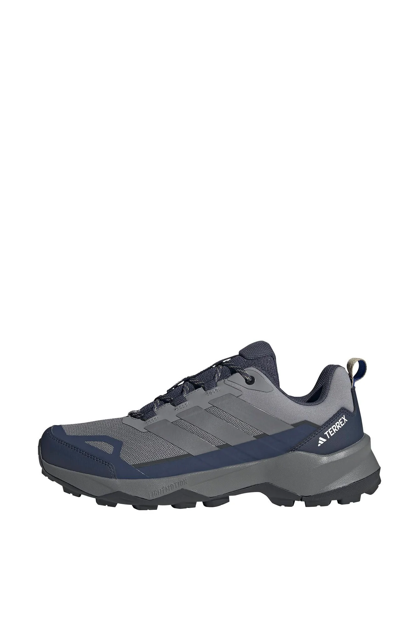 Wanderschuhe TERREX SKYCHASER AX5