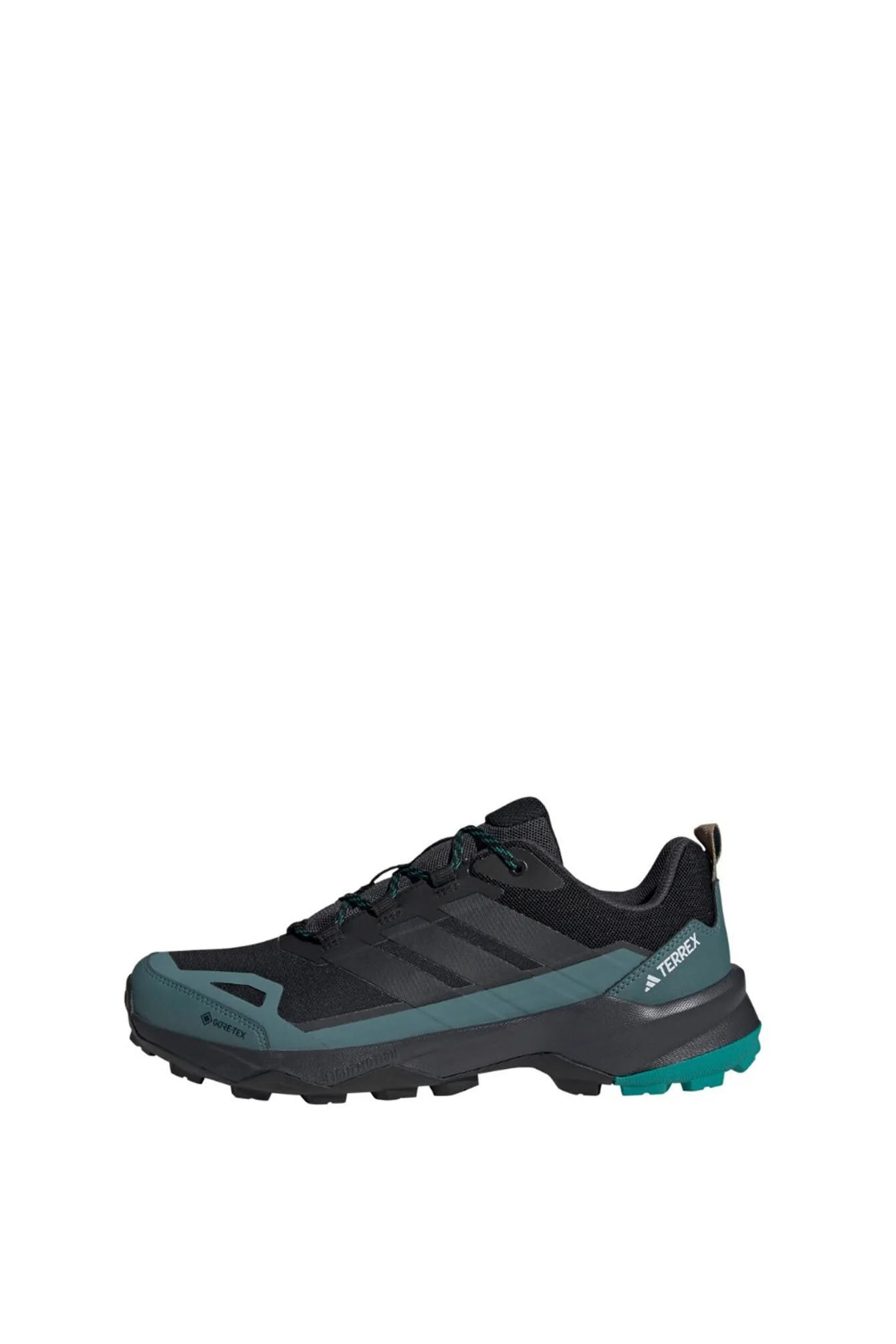 Wanderschuhe TERREX SKYCHASER AX5 GTX