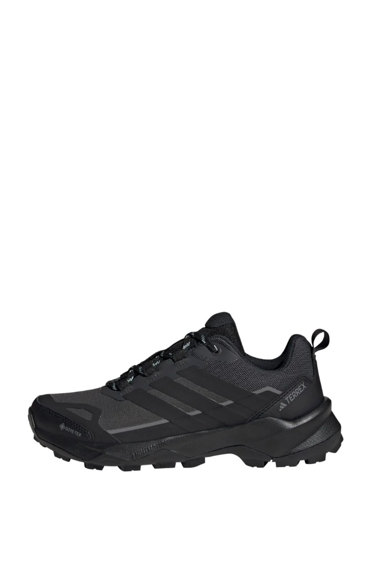 Wanderschuhe TERREX SKYCHASER AX5 GTX