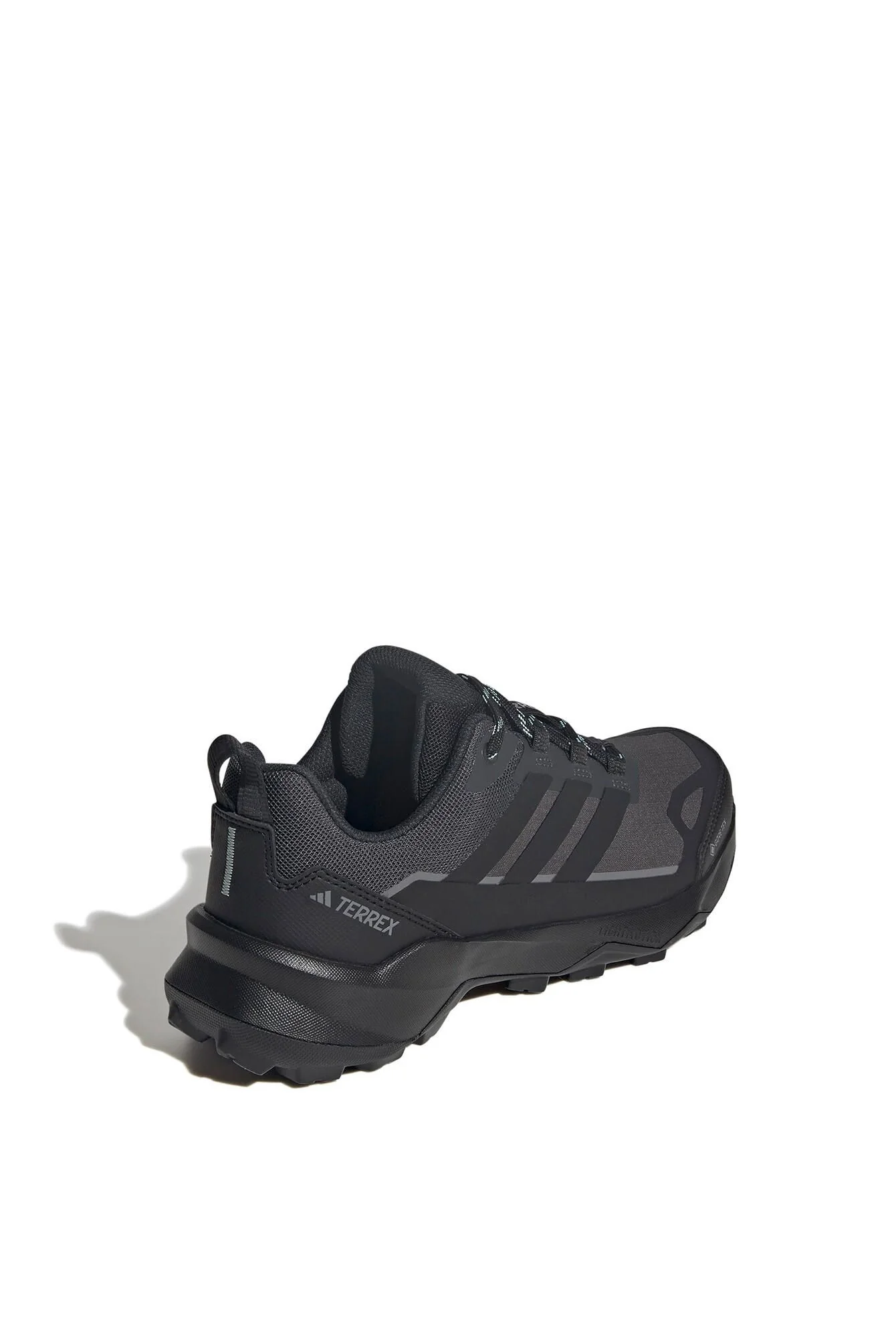 Wanderschuhe TERREX SKYCHASER AX5 GTX - Image 2