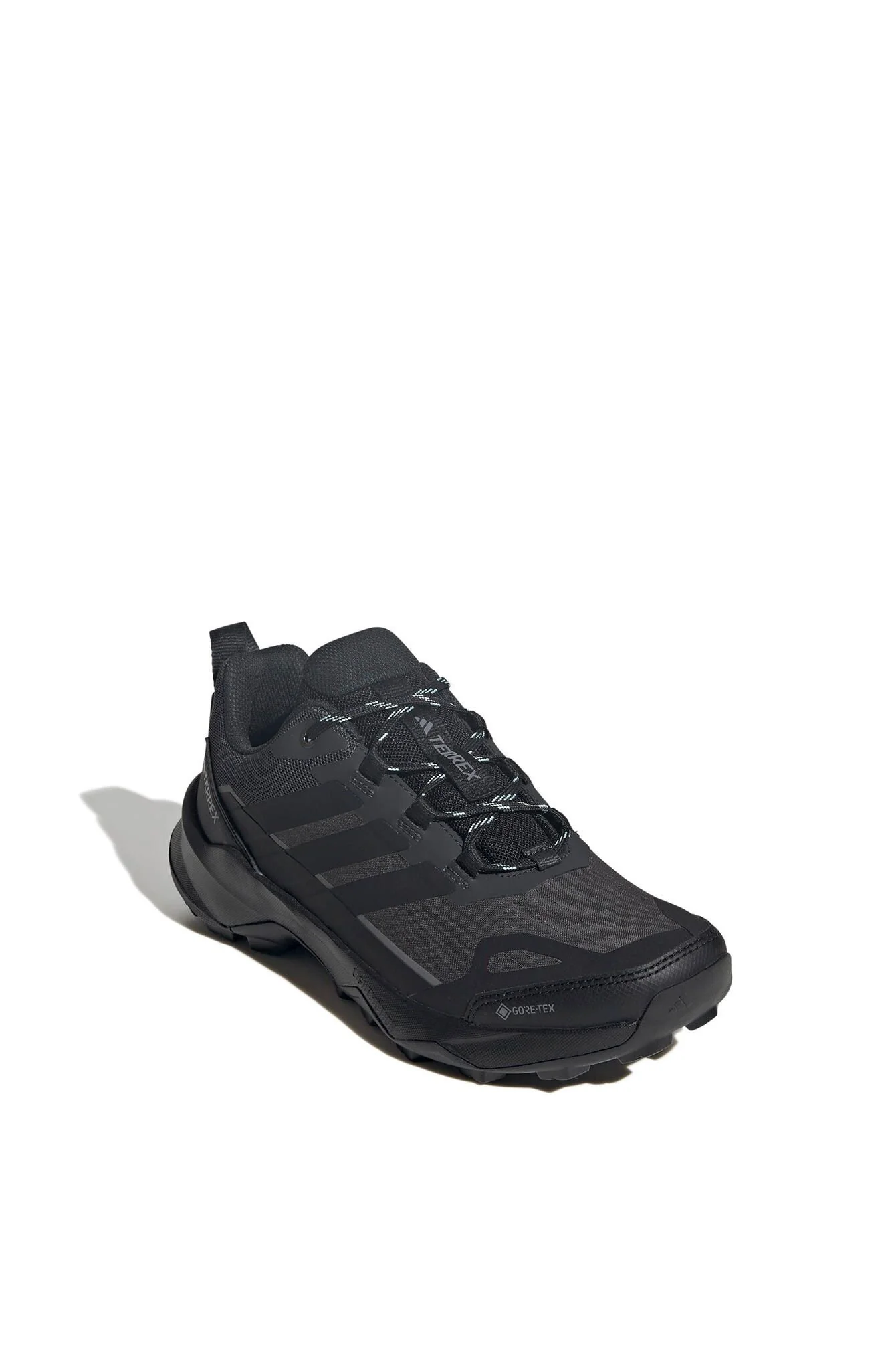 Wanderschuhe TERREX SKYCHASER AX5 GTX - Image 3